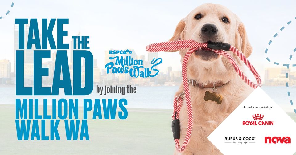 Million Paws Walk