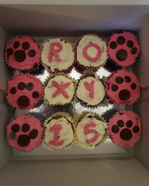 Pup Cakes